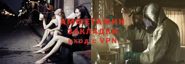 прущие грибы Каменка