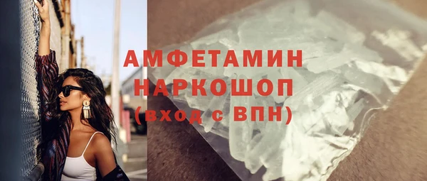 мдпв Каменногорск
