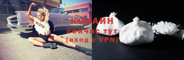 мдпв Каменногорск