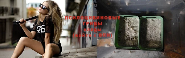 мдпв Каменногорск