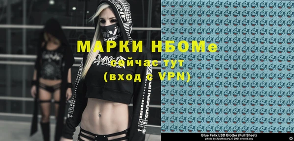 прущие грибы Каменка