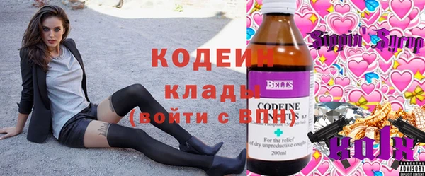 мдпв Каменногорск