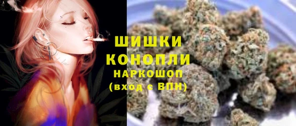 прущие грибы Каменка