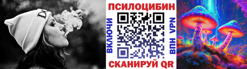 где купить наркотик  Первоуральск  Псилоцибиновые грибы прущие грибы 